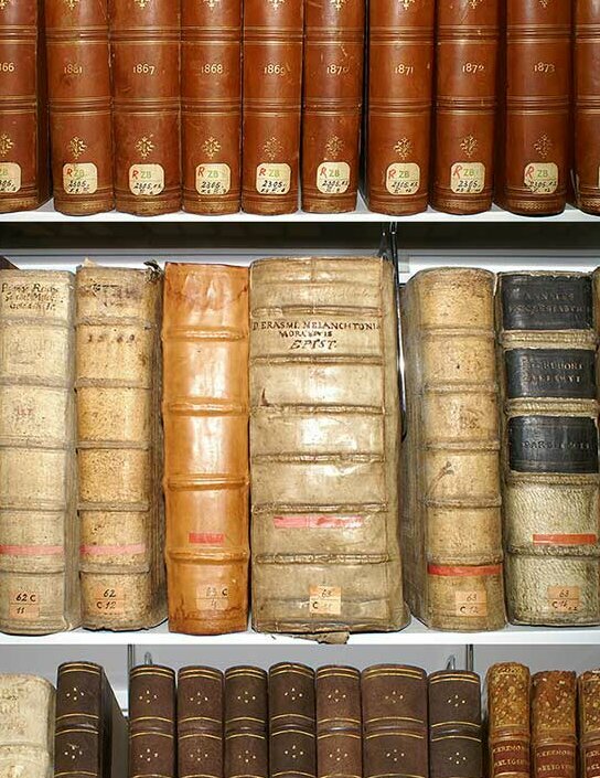 © Foto: Badische Landesbibliothek Karlsruhe Ein Ausschnitt von einem Regal mit älteren Bänden wird gezeigt.