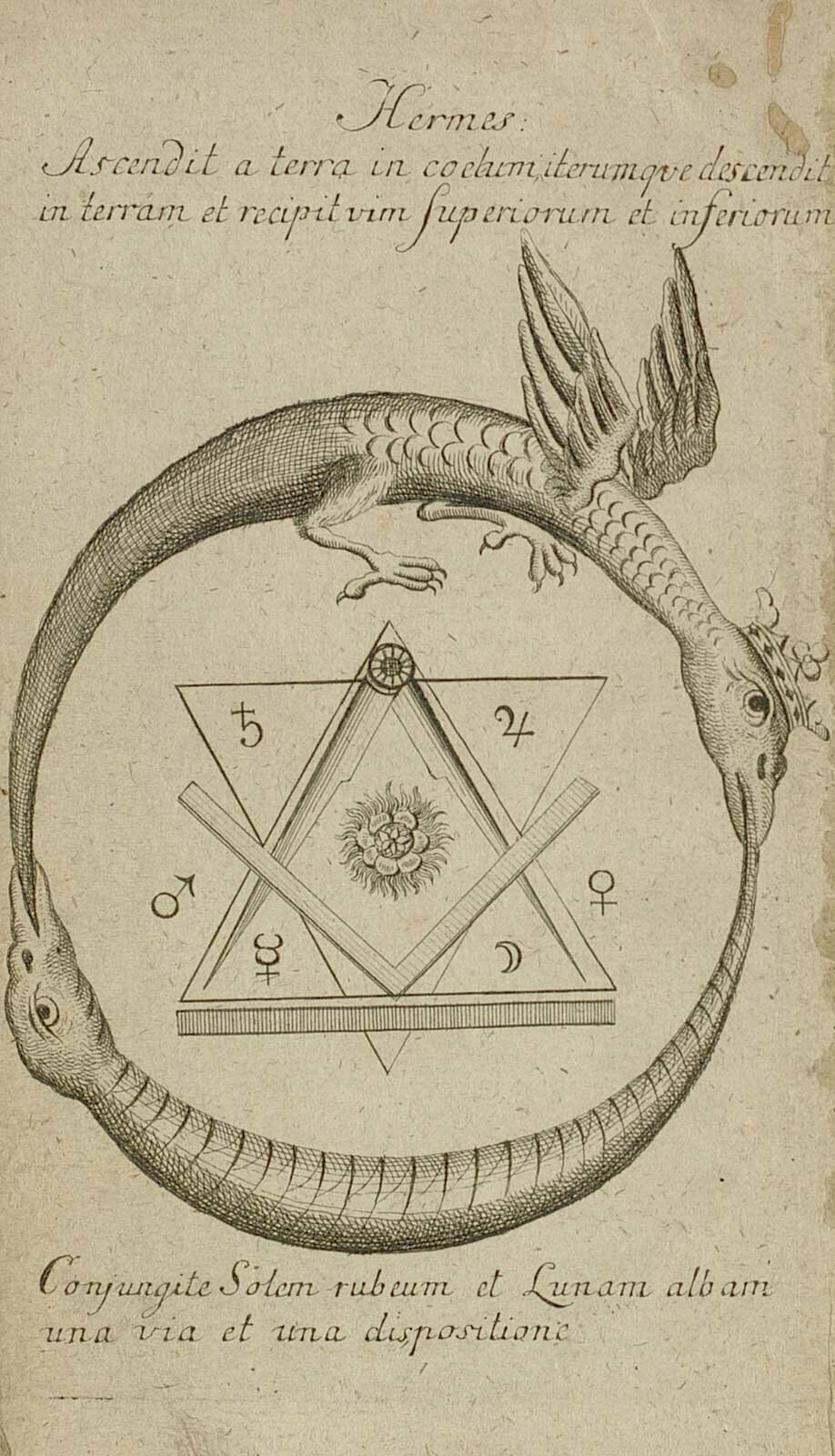 © Foto: Badische Landesbibliothek Karlsruhe Die Abbildungsseite aus dem Buch "Des Hermes Trismegists wahrer alter Naturweg", das im Jahr 1782 in Leipzih erschien, zeiht ein Hexagramm mit den Freimaurersymbolen in einem Ring aus zwei Drachenfiguren, die einander in den Schwanz beißen.