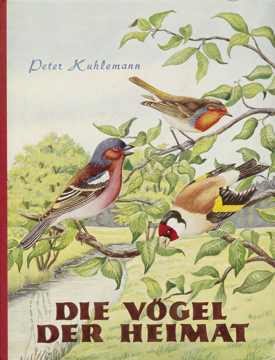 Einband des Buches „Die Vögel der Heimat“. Für das Cover wurde sich für eine Illustration heimischer Vogelarten entschieden.