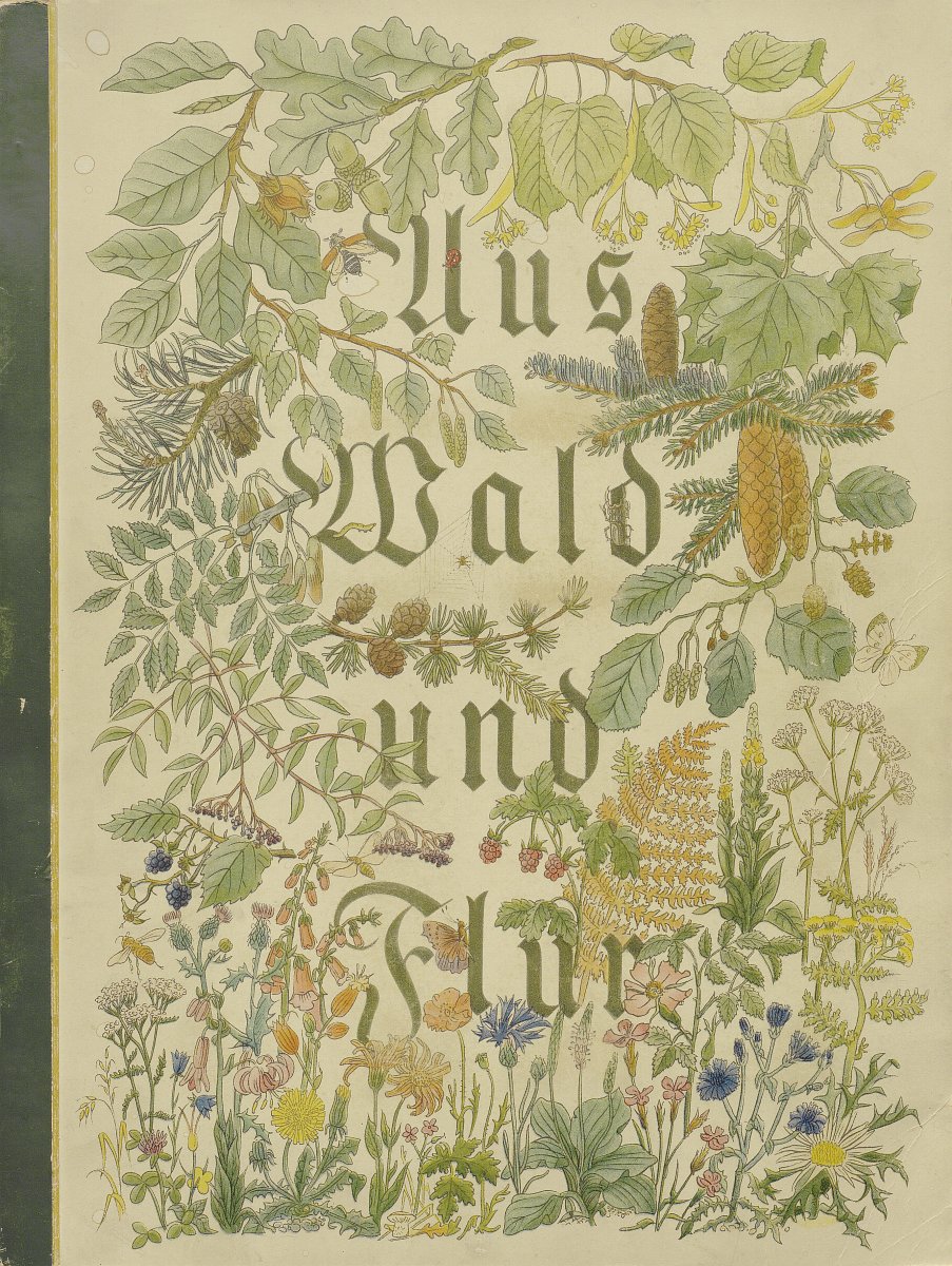 Einband des Buches „Aus Wald und Flur“. Für die Gestaltung dessen wurde sich für Illustrationen verschiedener waldiger Pflanzenarten entschieden.