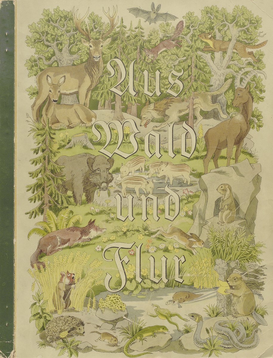 Einband des Buches „Aus Wald und Flur“. Als Hintergrundbild wurde eine Illustration von verschiedenen Waldtieren aller Arten genutzt.