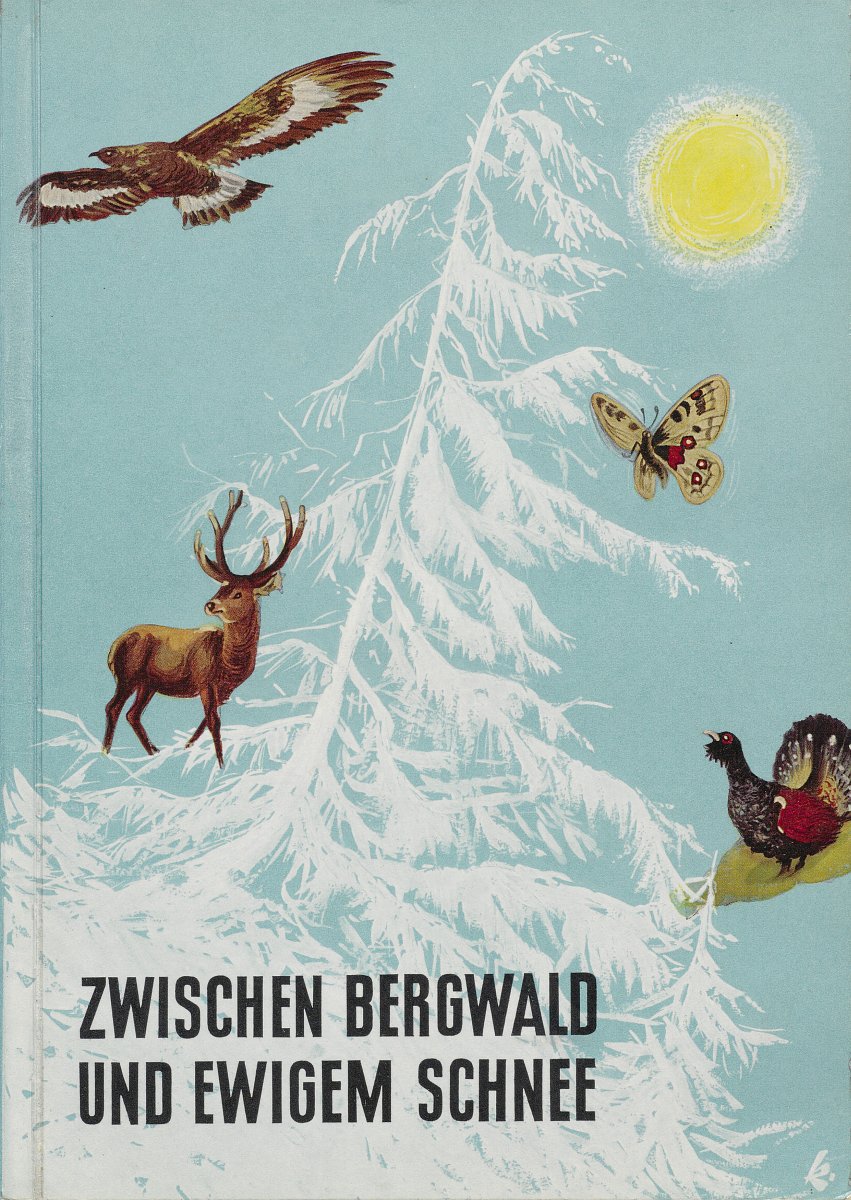 Einband des Sammelwerkes „Zwischen Bergwald und ewigem Schnee – Die Heimat der Alpentiere“. Zu sehen ist eine verschneite Tanne, um welche Illustrationen verschiedener Tiere gesetzt wurden.