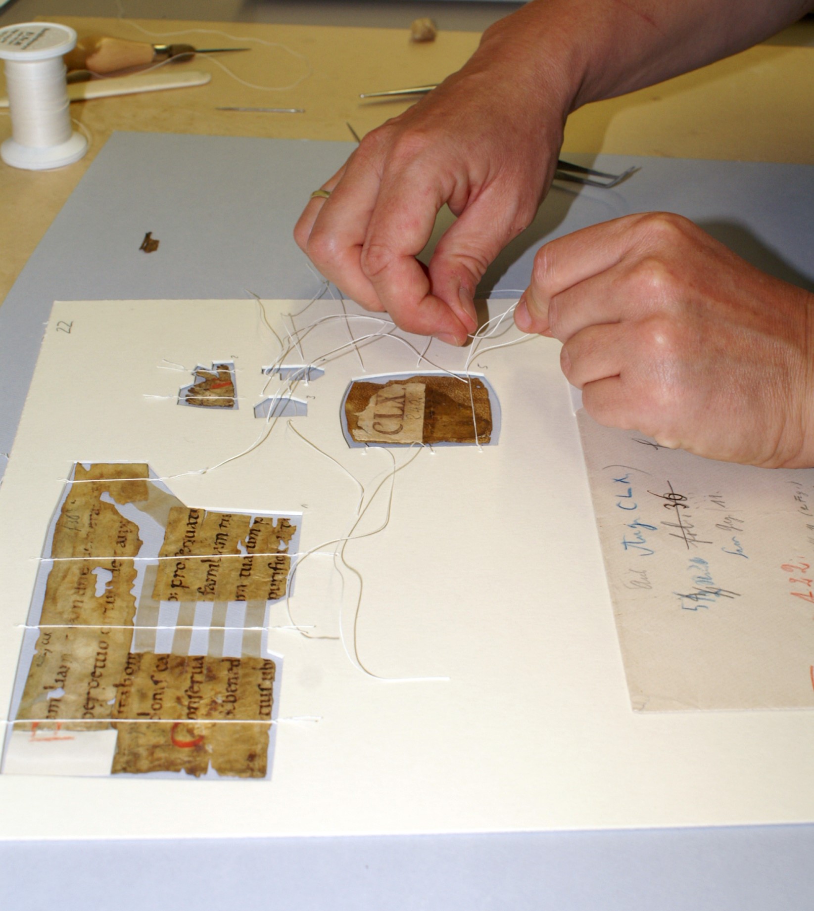 Das Bild zeigt das sorgfältige Befestigen der Reichenauer Fragmente mit Leinenfäden auf einem säurefreien Karton.